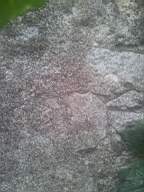 castlepark gate - 10875.jpg